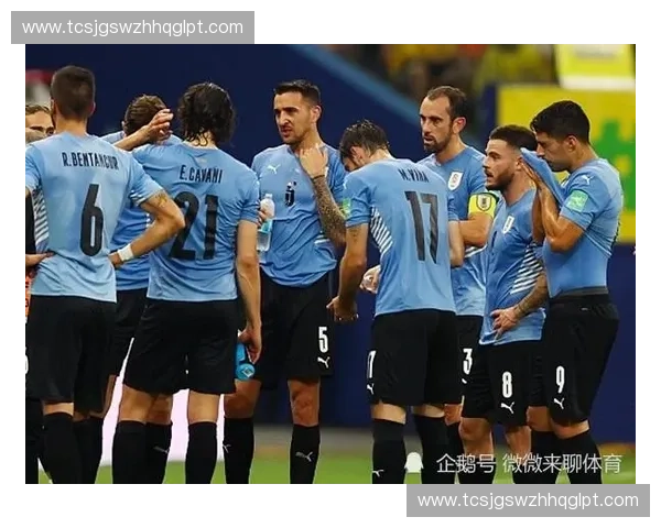 乌拉圭足球联赛深度解析:历史背景、竞争格局与未来发展趋势 乌拉圭足球联赛深度解析:历史背景、竞争格局与未来发展趋势